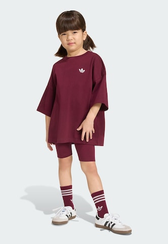 Set ADIDAS ORIGINALS en rouge : devant