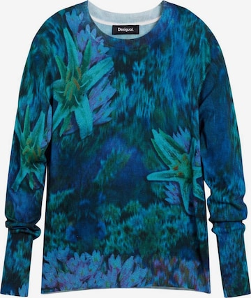 mėlyna Desigual Megztinis: priekis