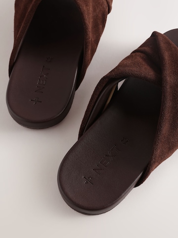 Next Mule in Brown