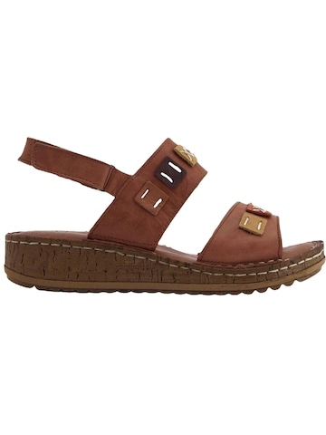 Limoya Sandals 'Damensandalen' in Brown