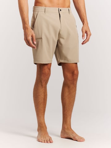 PROTEST Swimming shorts 'PRTRadcot' in Brown
