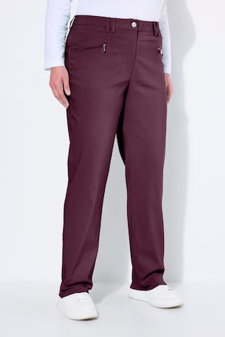 Ulla Popken Regular Hose in Lila: Vorderseite