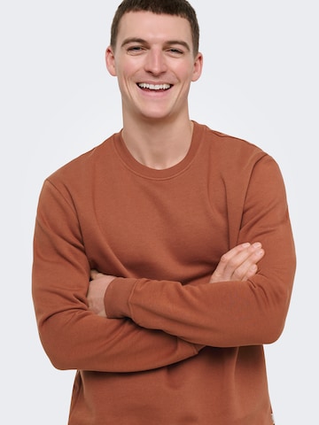 Only & Sons Свитшот 'ONSConnor' в Коричневый