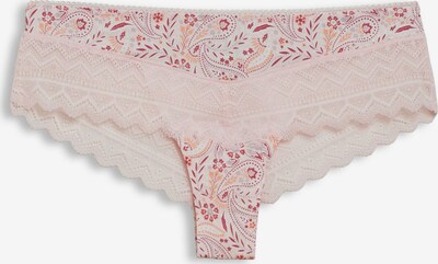 Panty ESPRIT di colore corallo / rosa / rosa / bianco naturale, Visualizzazione prodotti