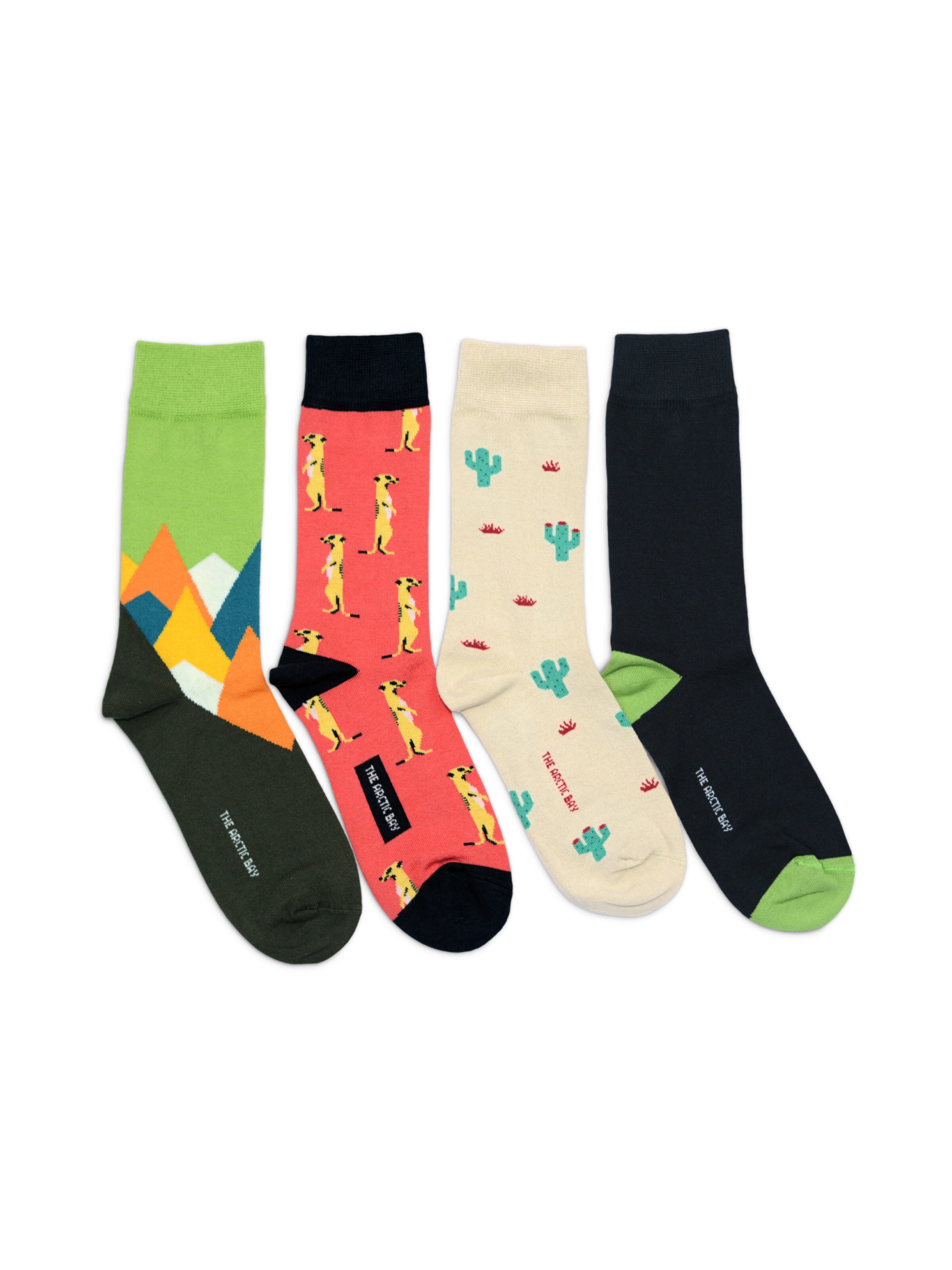 Chaussettes 'JANGWA EDITION Gift box 4 Pack Unisex' The Arctic Bay en mélange de couleurs : devant