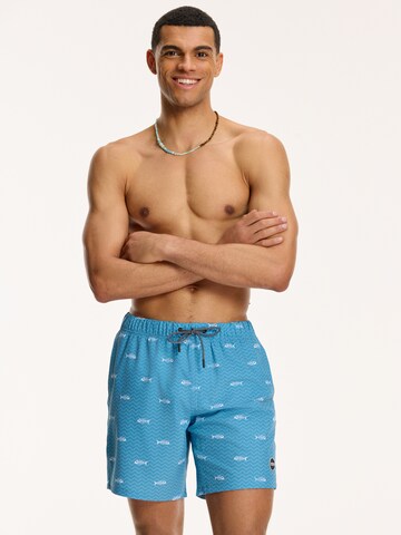 Shorts de bain Shiwi en bleu : devant