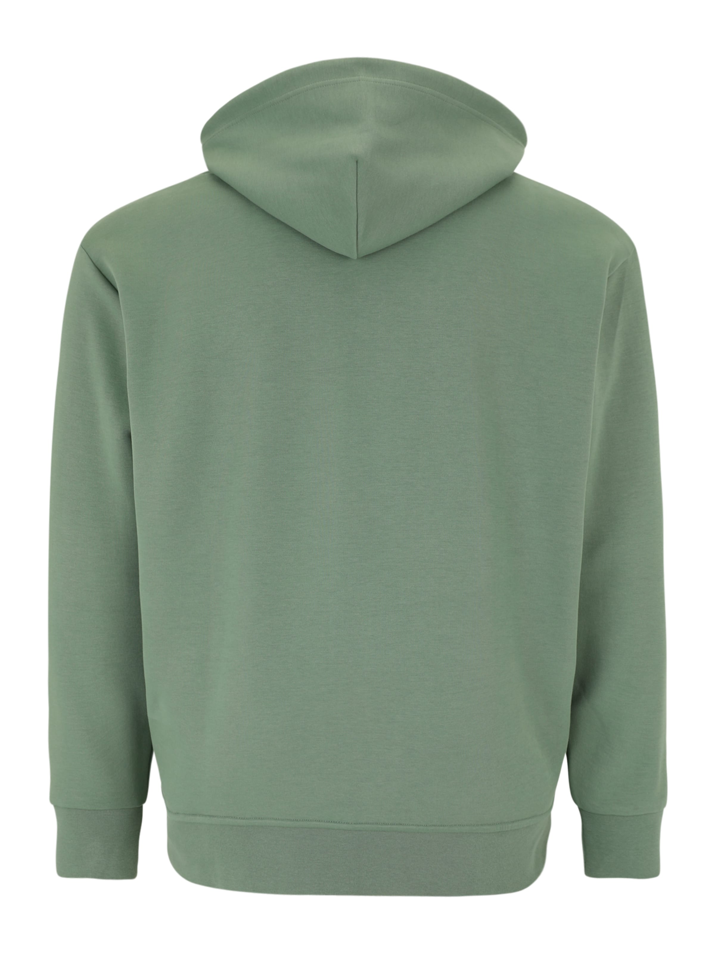 Polo Ralph Lauren Big & Tall Ζακέτα φούτερ σε πράσινο