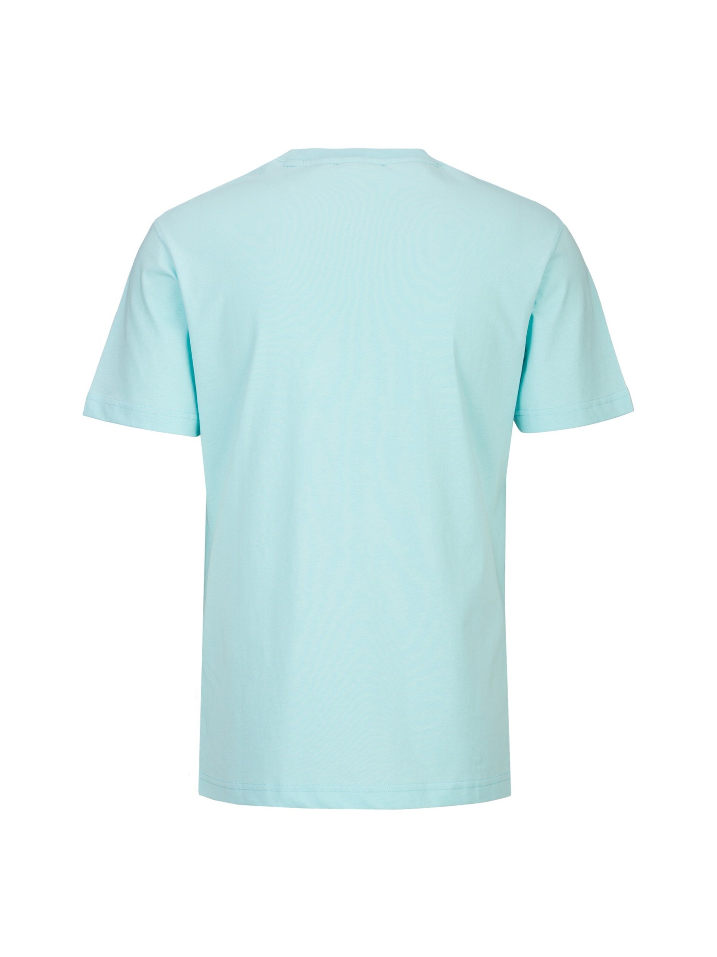 19V69 ITALIA Shirt 'Rafael Pipe' in Groen