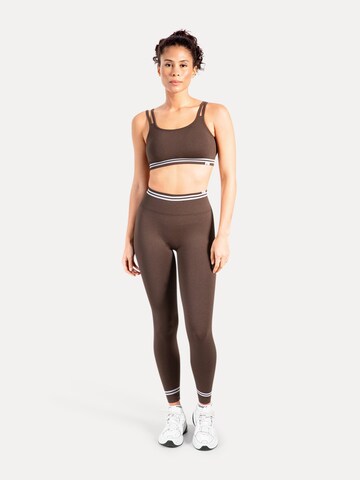 Smilodox Tapered Leggings in Bruin