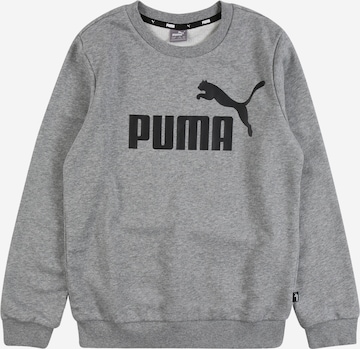 Sweat 'Essentials' PUMA en gris : devant