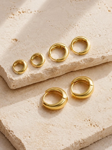 Alster Herz Ohrringe 'LUMERA'‌‌‌‌‌‌‌ in Gold