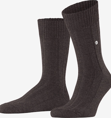 BURLINGTON Socks 'Dover' in Brown: front