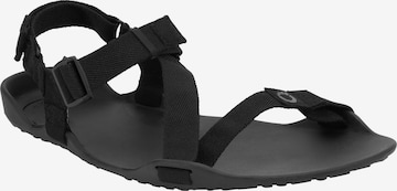 Xero Shoes Sandals 'Z-Trek' in Black: front