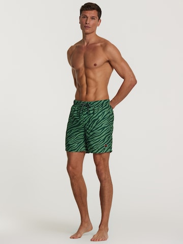Shiwi Plavecké šortky - Zelená