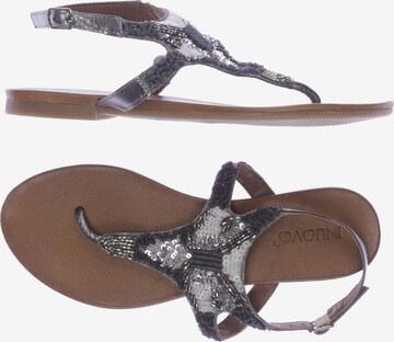 INUOVO Sandals & High-Heeled Sandals in 38 in Grey: front