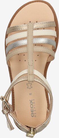 Sandales 'Karly' GEOX en beige