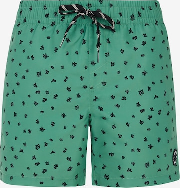 PROTEST Board Shorts 'PRTJuan' in Green: front