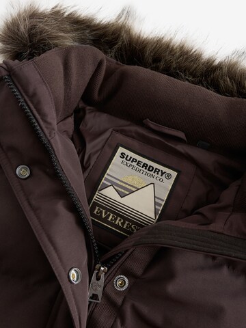 Superdry & Co - Chaqueta de invierno en marrón