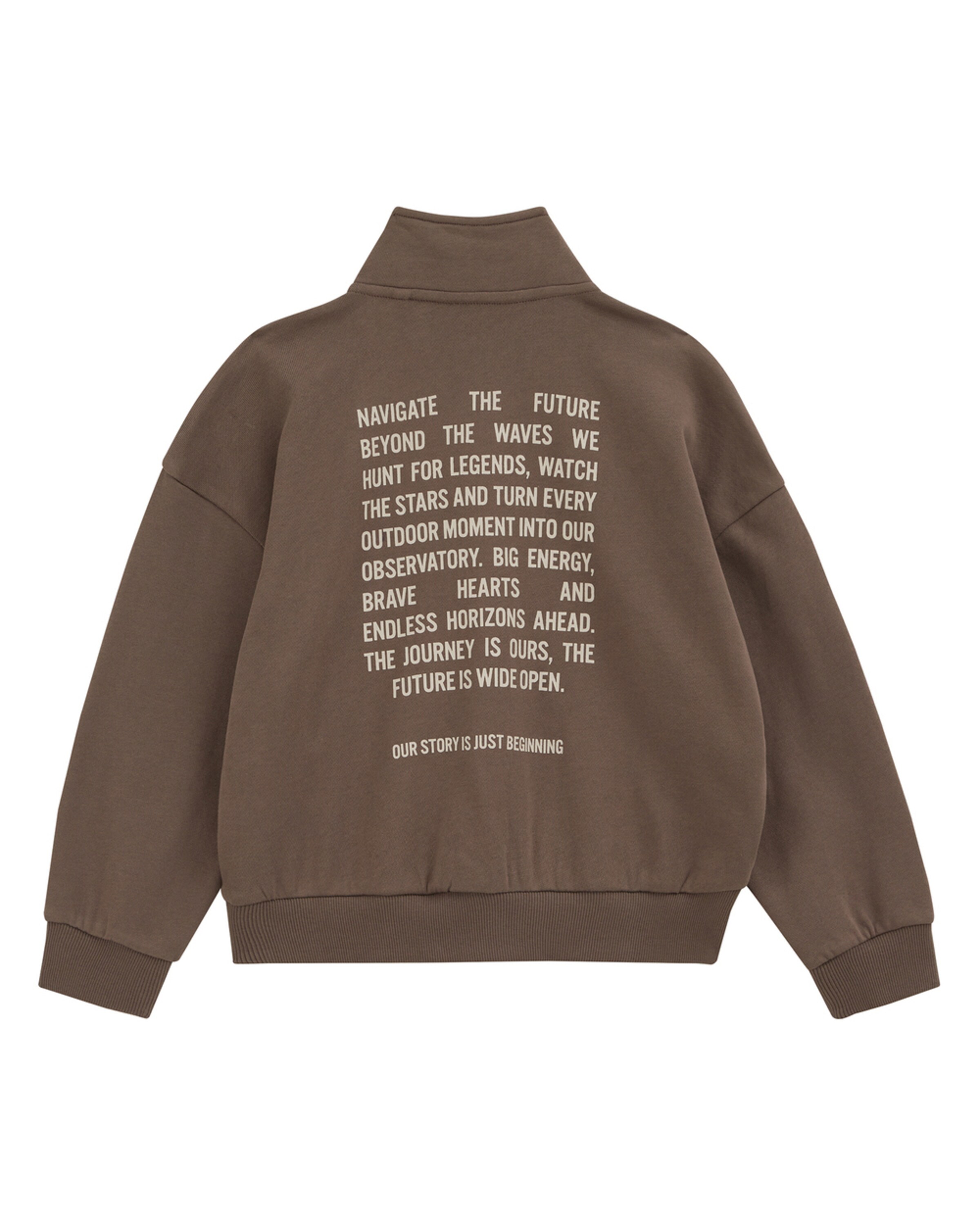 WE Fashion Sweatshirt i brun