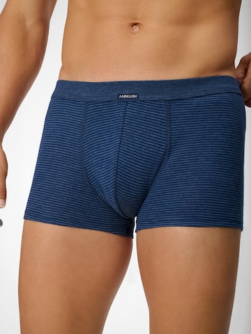 Boxers ' 170 Jeans ' Ammann en bleu