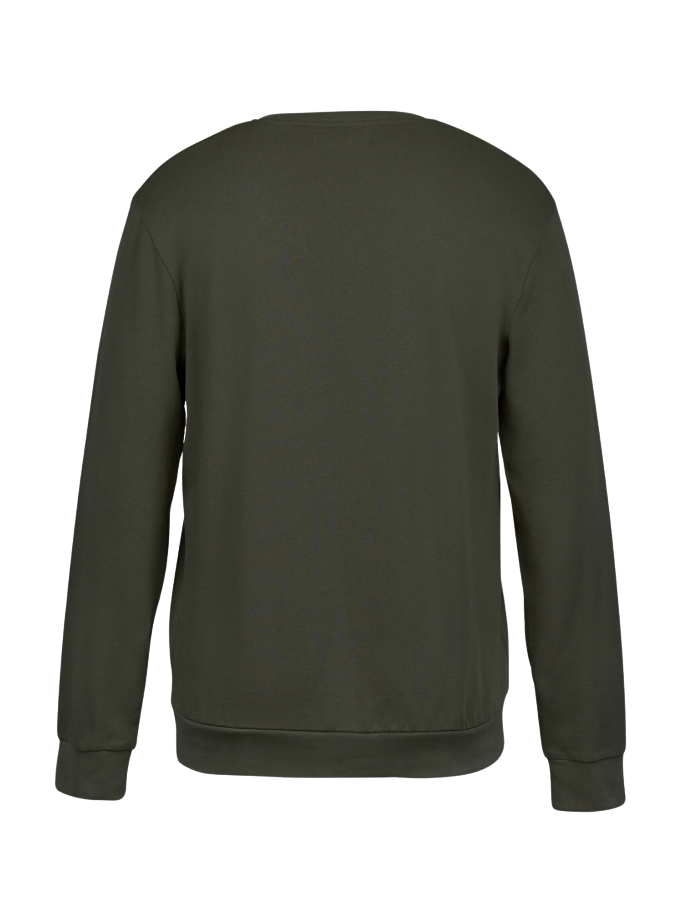 U.S. POLO ASSN. Sweatshirt 'Hugo' in Grün