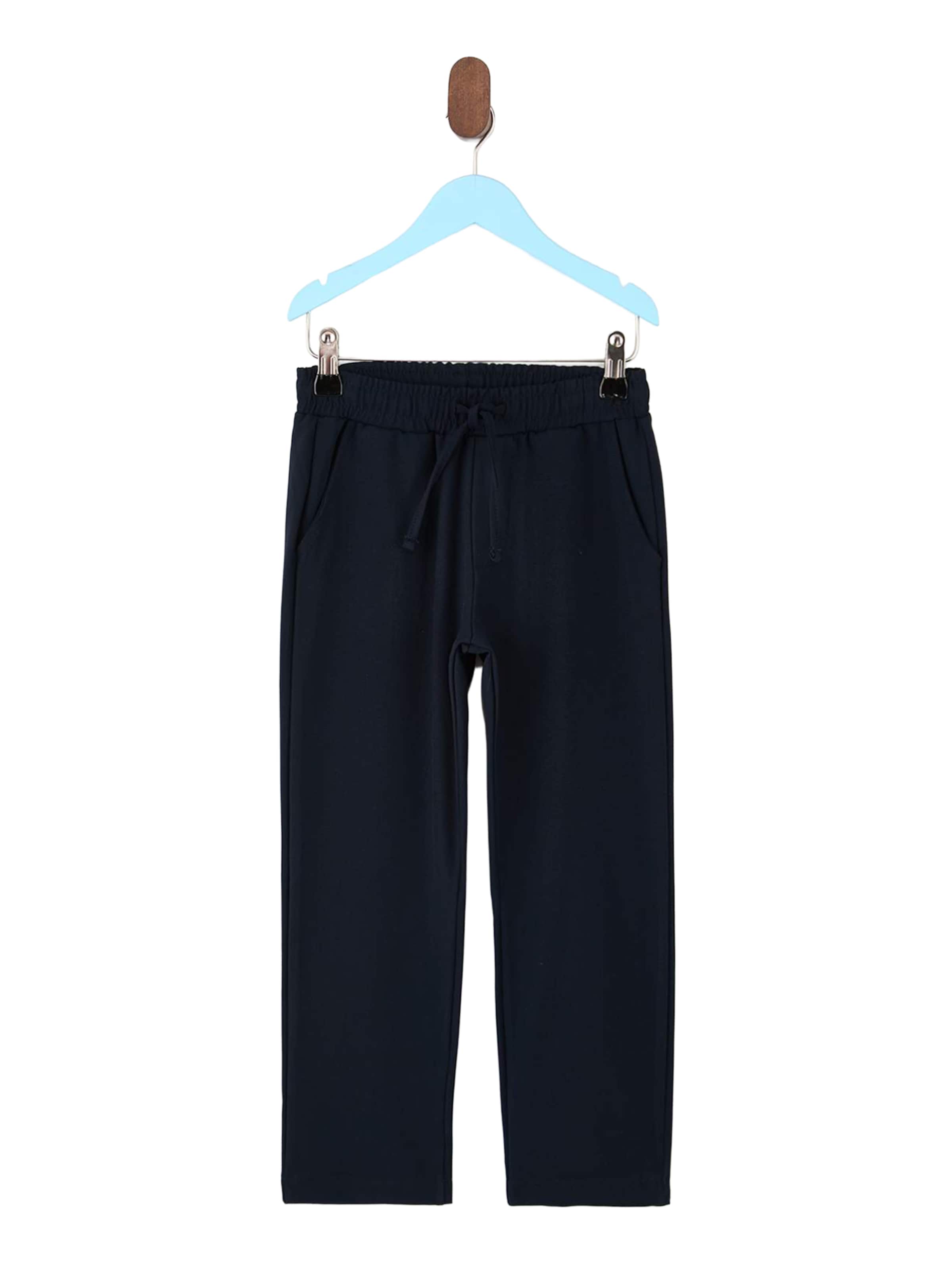 Trendyol Regular Pants in Blue: front