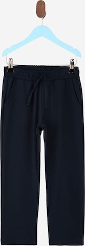 Trendyol Regular Housut värissä sininen: etupuoli