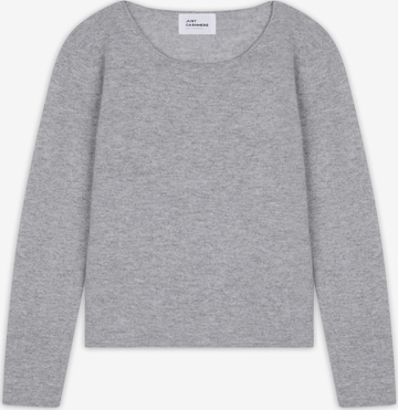 pilka JUST CASHMERE Megztinis 'VIVIAN': priekis