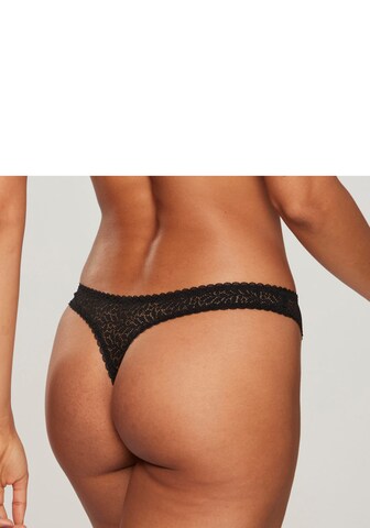 NUANCE Panty in Black