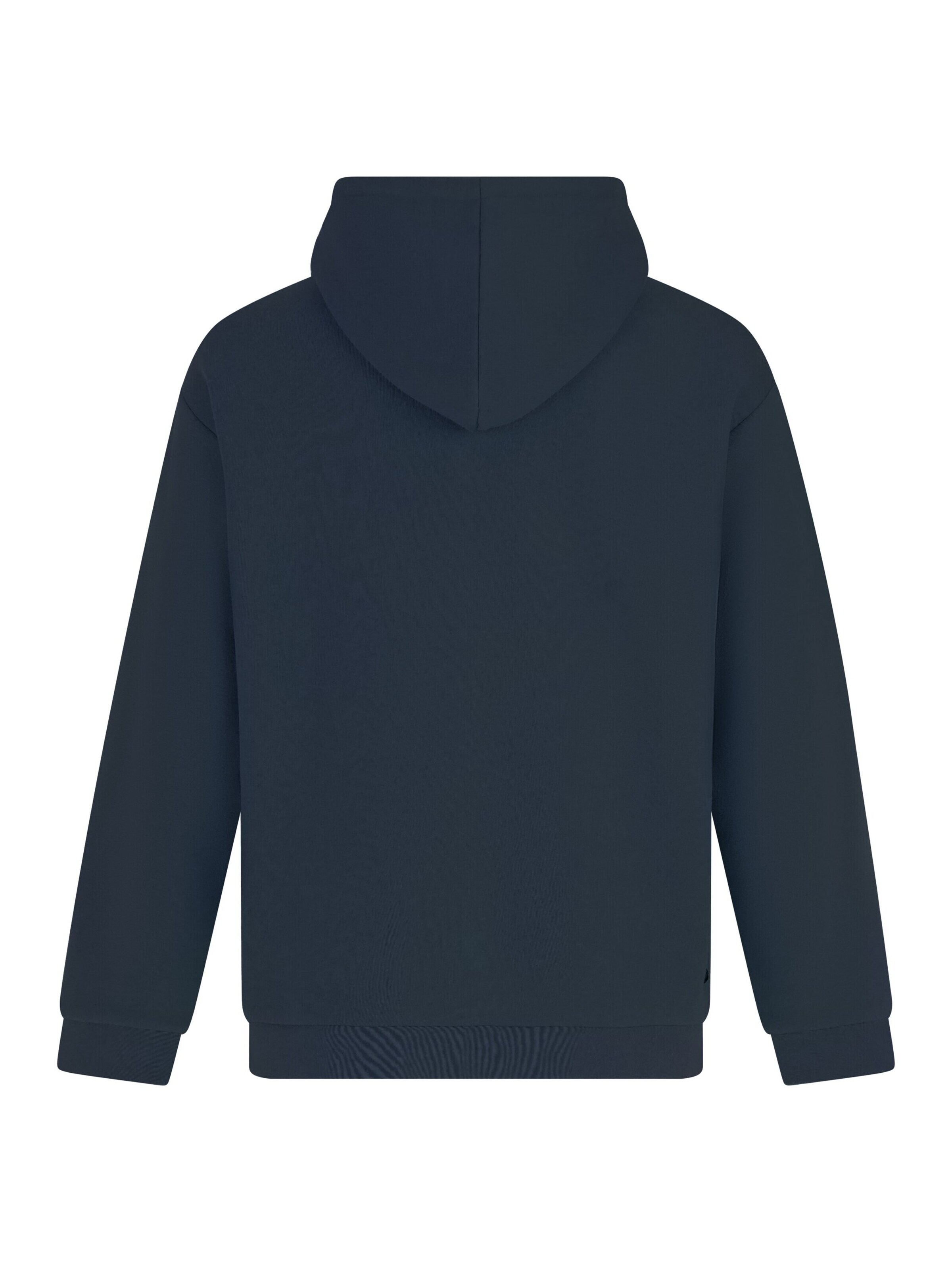PROTEST Trui 'PRTRoman' in Blauw