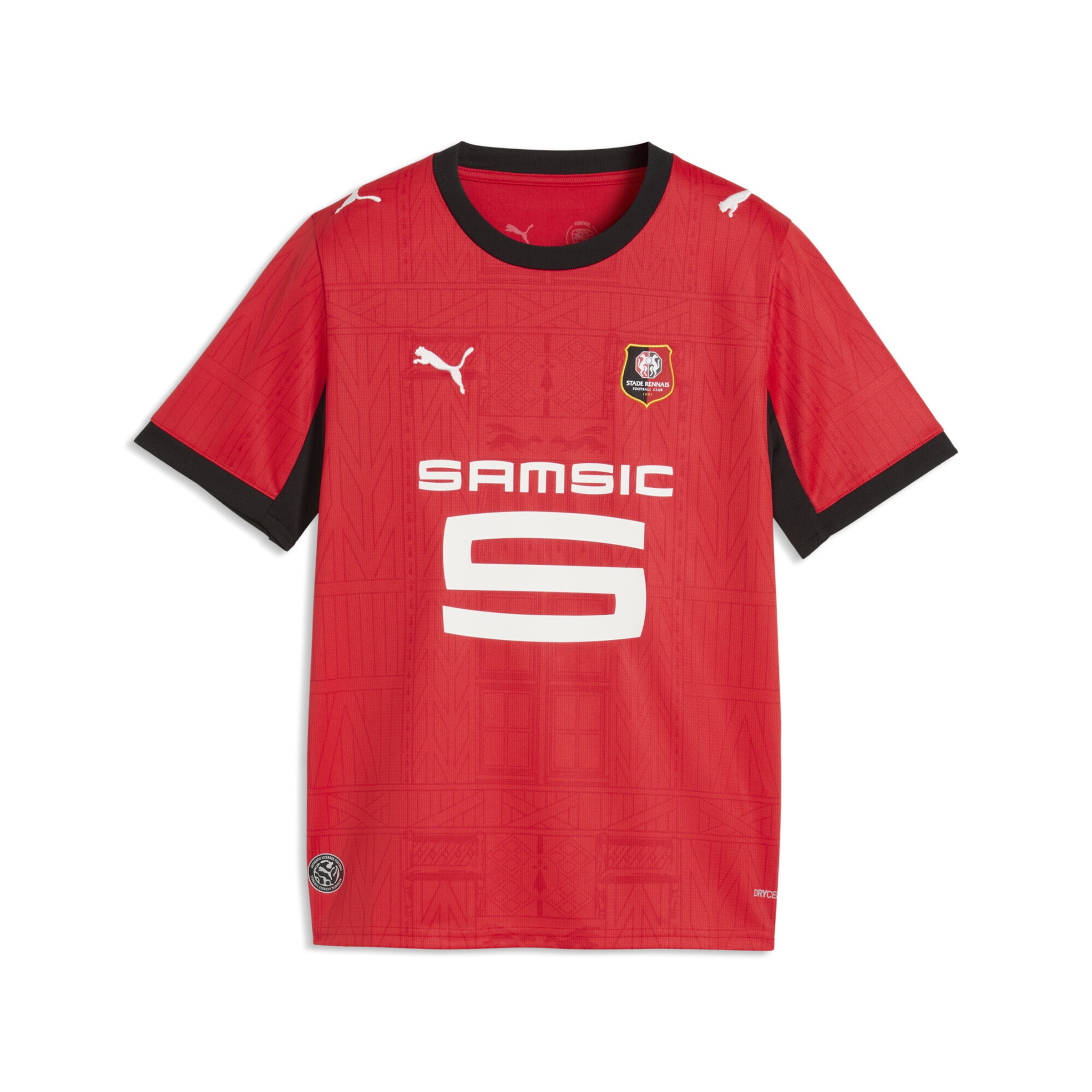 PUMA Performance shirt 'Stade Rennais 26/27' in Red: front