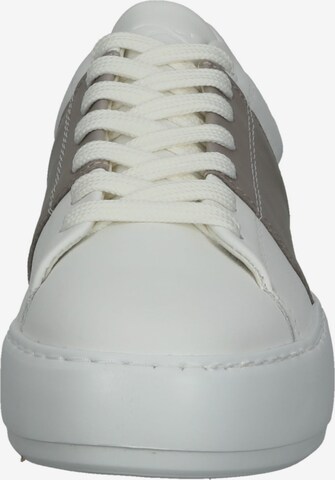 Sneaker bassa 'Antonia' di BRAX in bianco