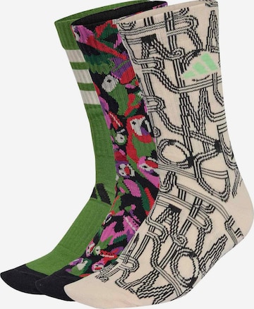 ADIDAS PERFORMANCE Urheilusukat värissä beige: etupuoli