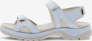 ECCO Strap Sandals in White