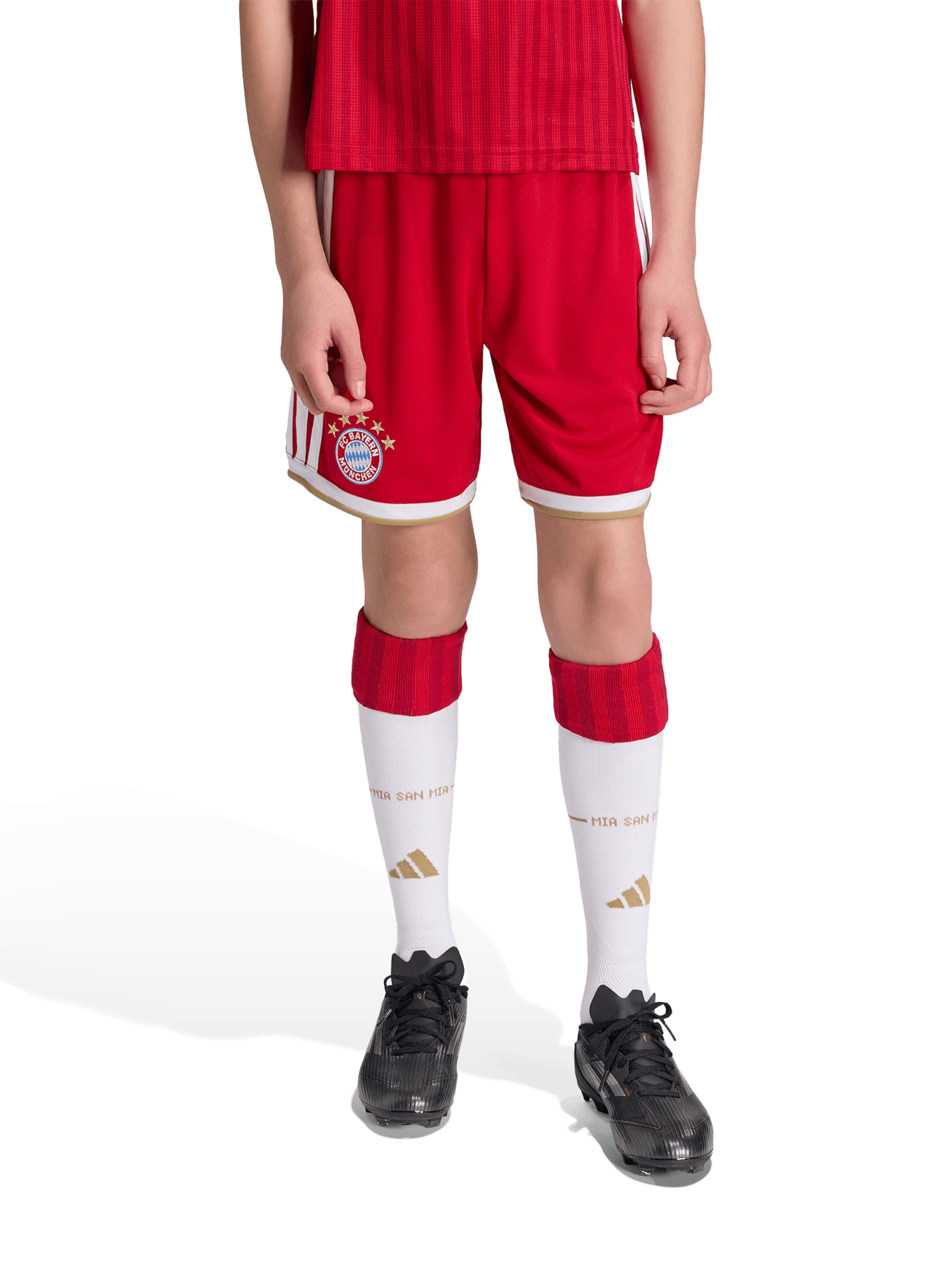 ADIDAS PERFORMANCE regular Παντελόνι φόρμας 'FC Bayern München Home 26/27' σε κόκκινο: μπροστά