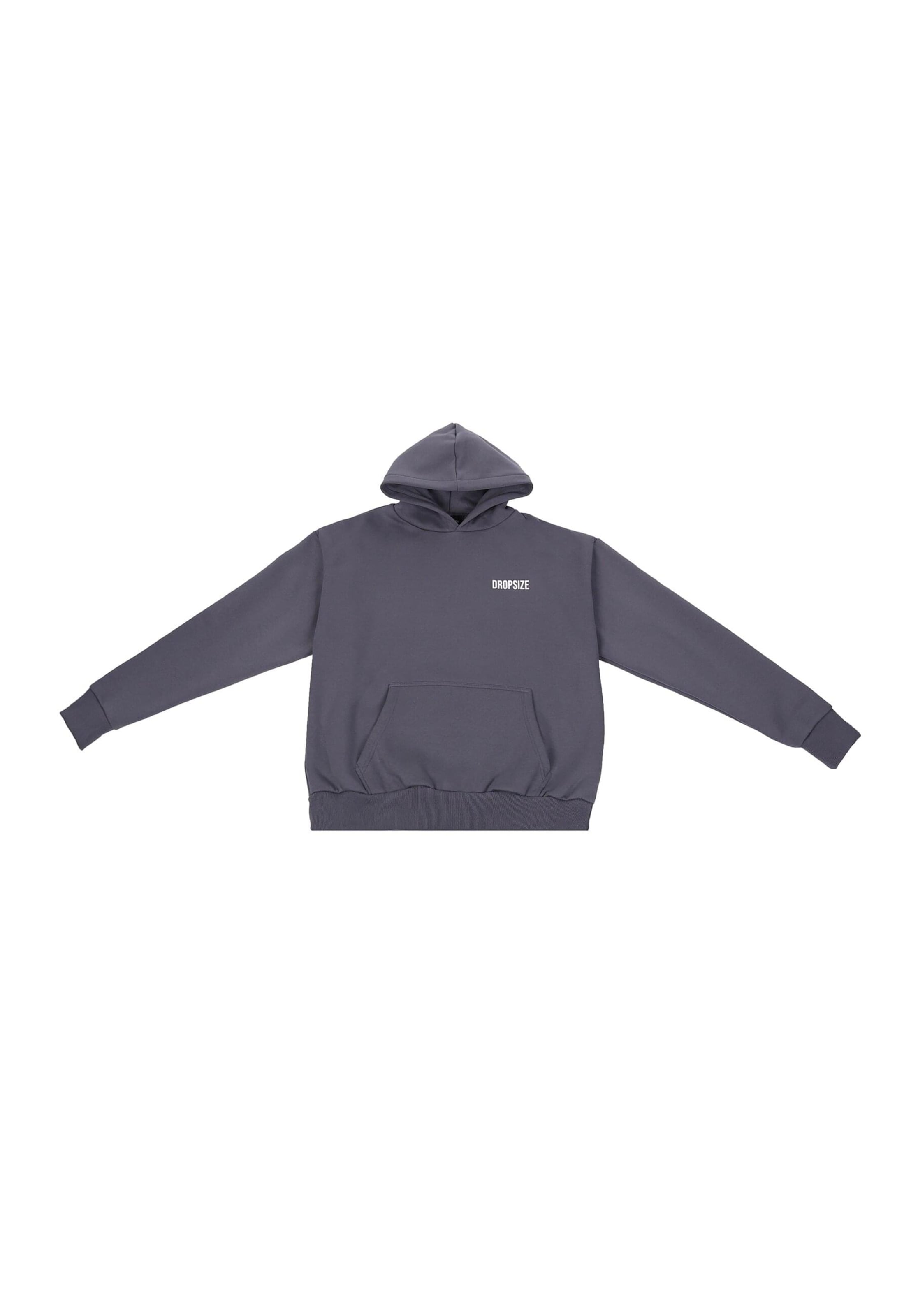 Dropsize Sweatshirt 'Wire Dove' in Grey: front