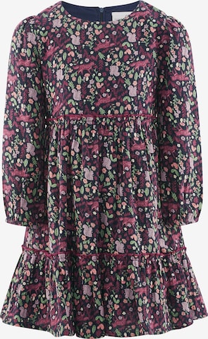 mėlyna happy girls Suknelė: priekis