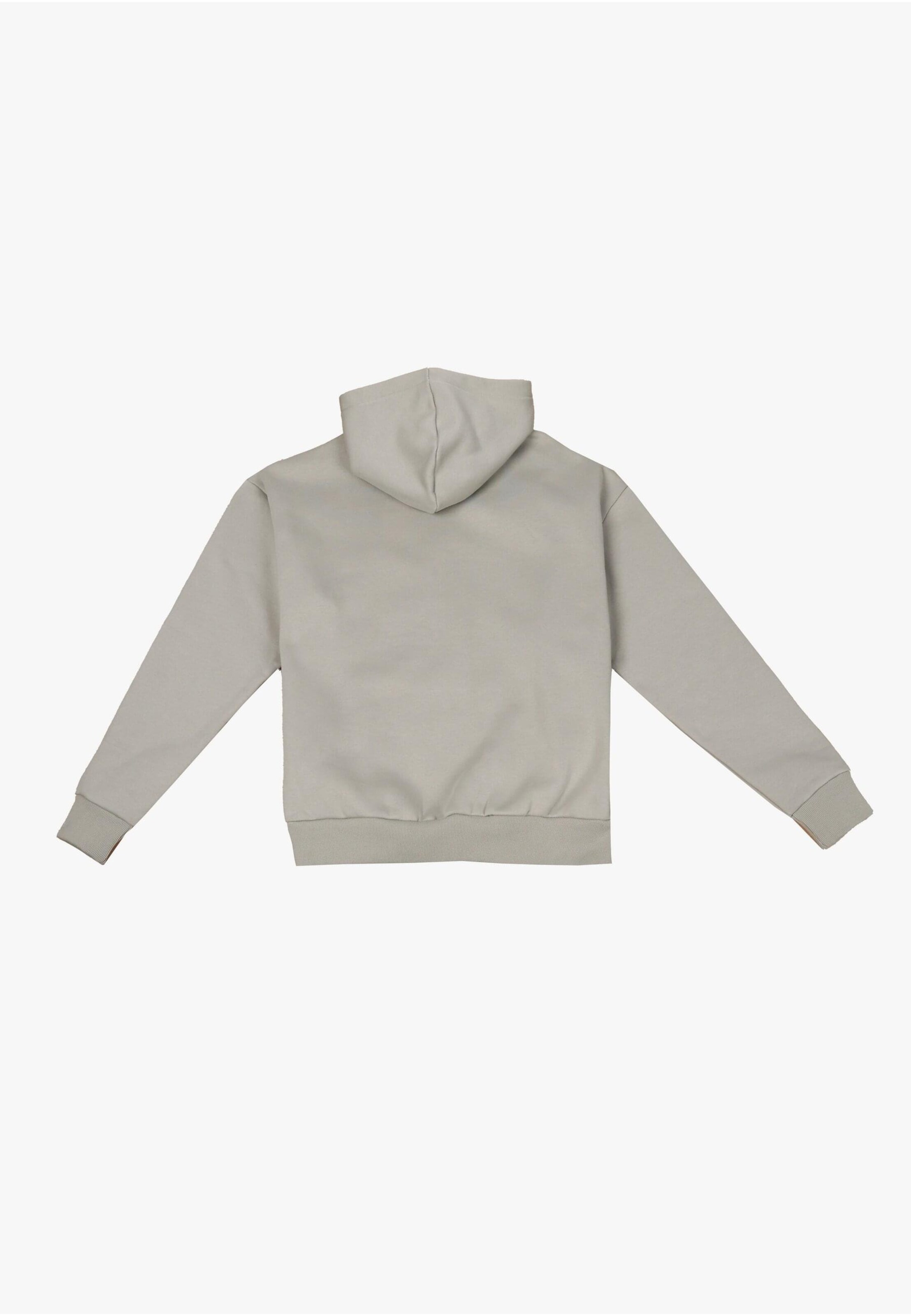 Dropsize Sweatshirt in Grijs