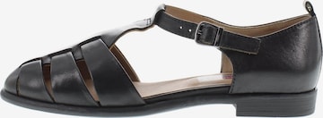 Everybody Strap Sandals 'ADELE - Römer Sandalette mit geschlossener Ferse' in Black: front