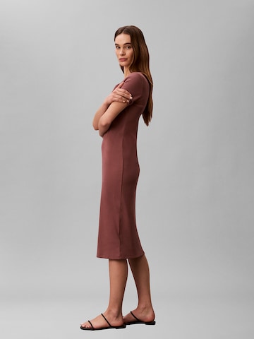 Calvin Klein Jeans Kleid in Braun