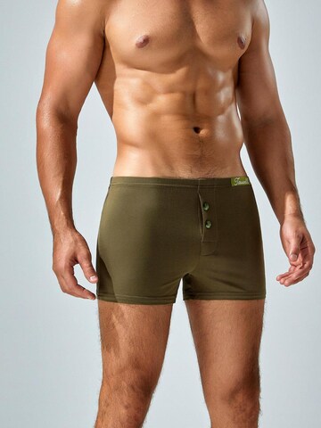 TAUWELL Boxer shorts in Green: front