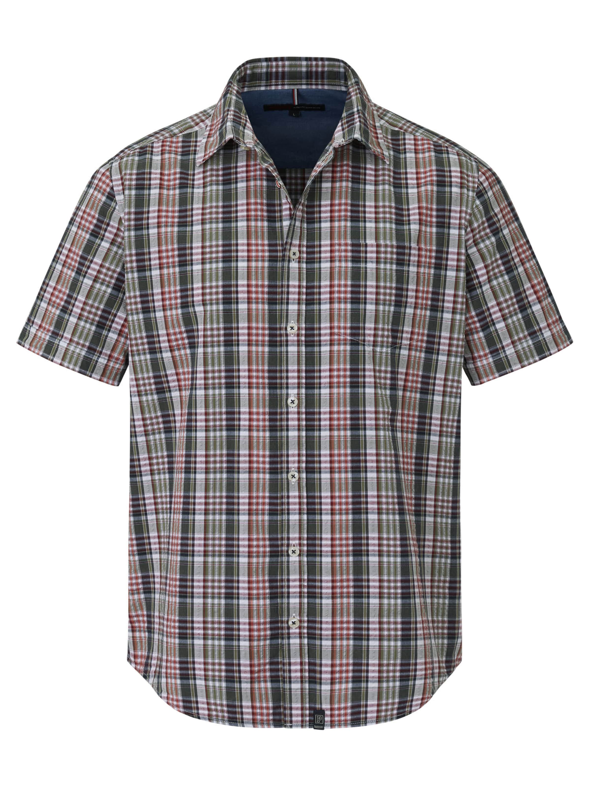 PADDOCKS Regular fit Button Up Shirt in Mixed colors: front