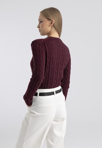 Felix Hardy - Jersey en rojo