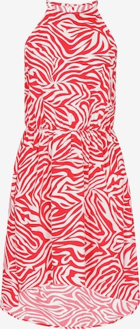nelice Summer Dress 'Spring Summer' in Red: front