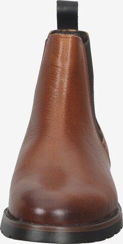 SCAPA Chelsea Boots in Brown