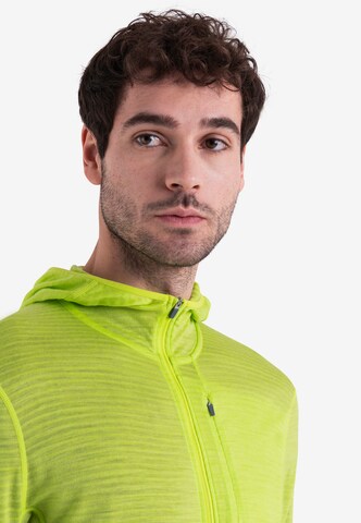 ICEBREAKER Функциональная флисовая куртка 'Realfleece Descender' в Зеленый