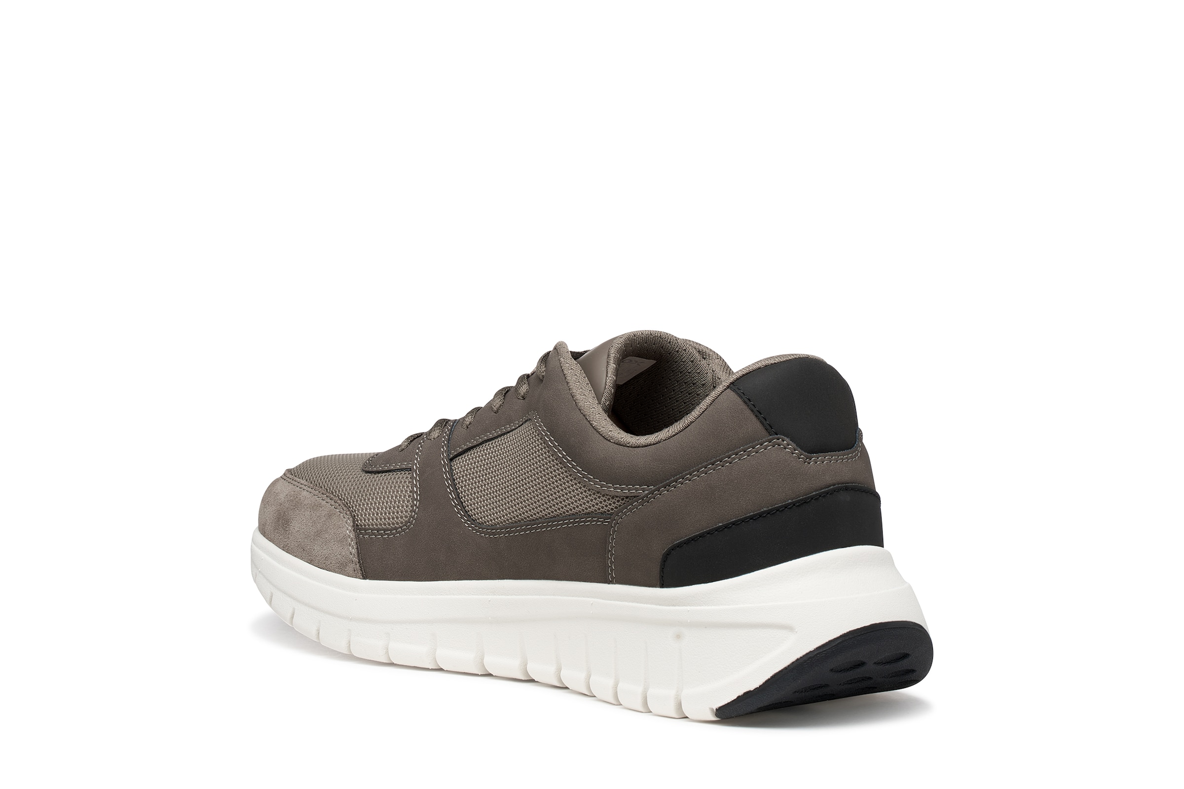 GEOX Sneaker in Grün