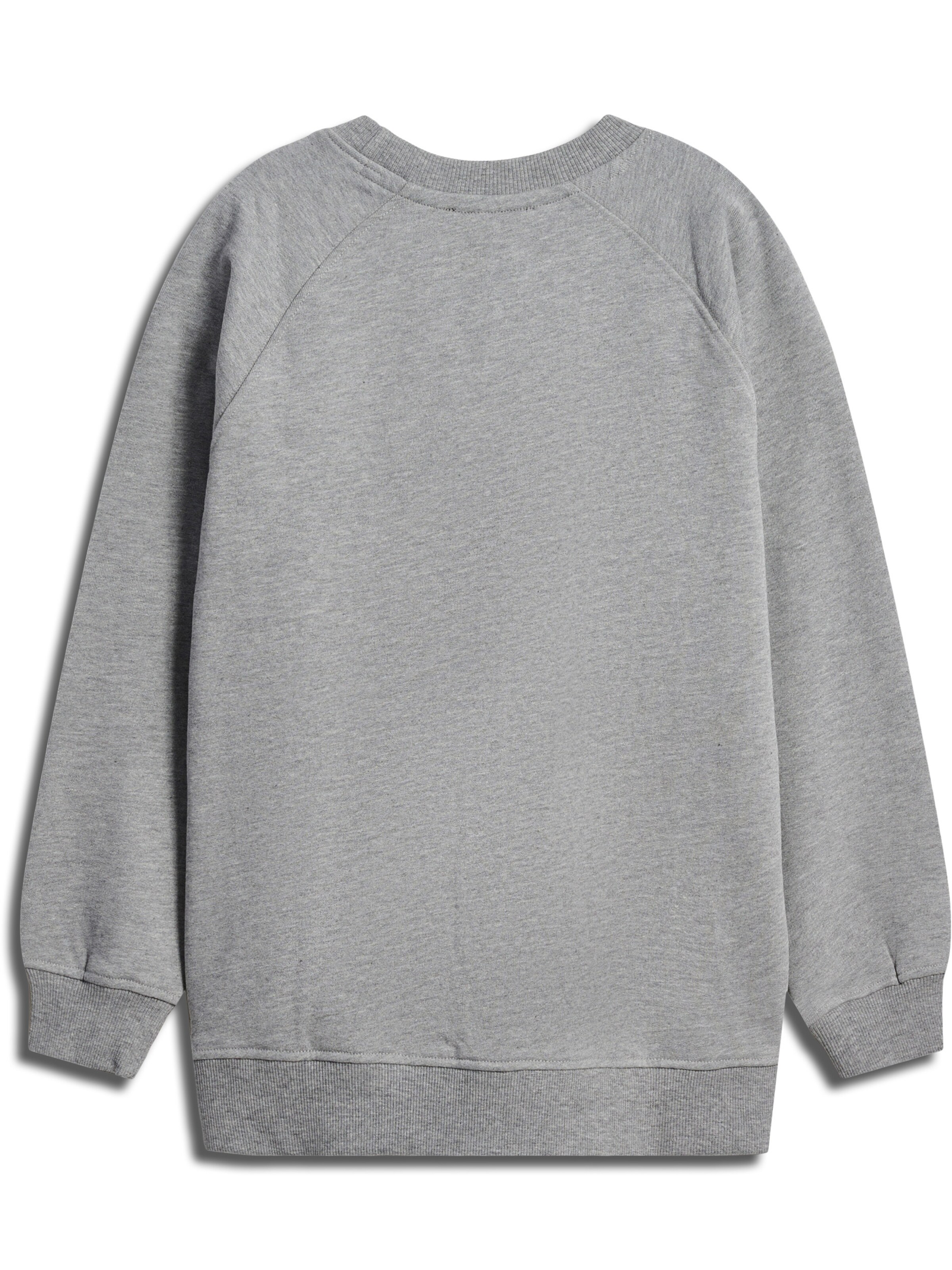SOMETIME SOON Sweatshirt in Grey