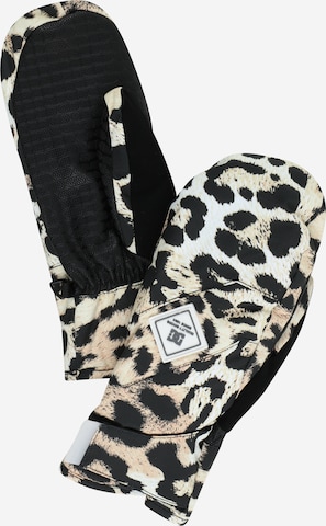 DC Shoes Athletic Gloves 'FRANCHISE' in Beige: front