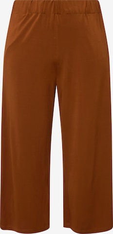 Ulla Popken Trousers in Brown: front
